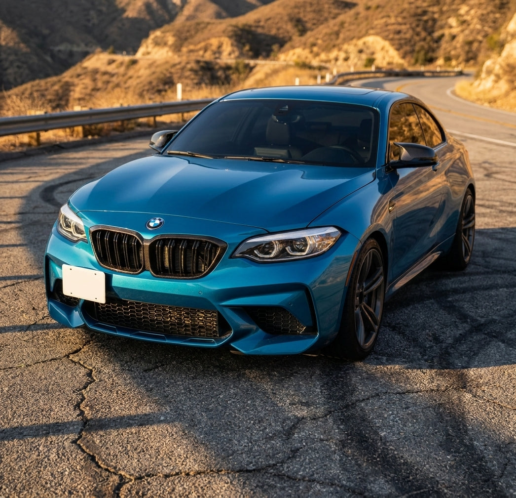 BMW F87 M2 Carbon Fiber Kidney Grille